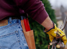 Что нужно сделать в саду весной