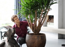 Агавовидные жители Америки – род Юкка