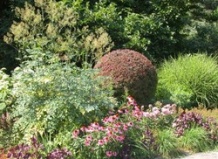 Планируем дизайн сада следующего года