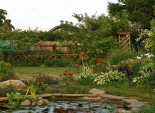 Оазис посреди мира технологий