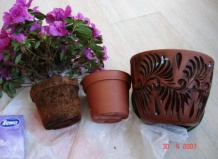 Весенние мероприятия для комнатных растений