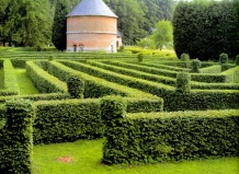 Живые изгороди