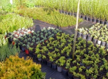 В поисках лучшего