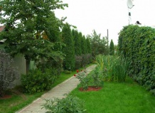 Озеленение