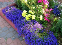 Оформление садового участка: проект и строительство детской игровой площадки на Ваш Сад