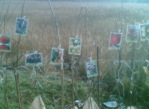 Посадка саженцев плодовых деревьев и кустарников