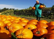 Cентябрь - время сбора урожая