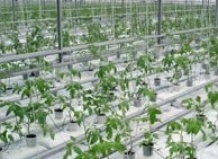 Растворы для гидропоники