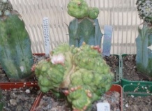 Чистота - залог здоровья