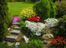 Растения альпийской горки