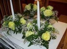 Правила фитодизайна