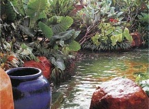 Как «освежить» водоем