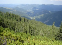 Заповедник «Горганы» - уникальный уголок Карпат