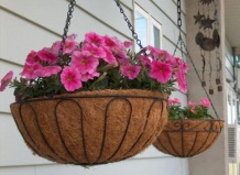 Школа комнатного садоводства.