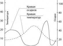 Прорастать следует вовремя
