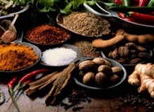 Всемирная история специй