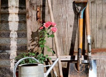 Инвентарь для вашего сада