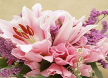 Символика цветов