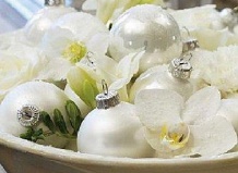 Рождественская роза (Helleborus niger)