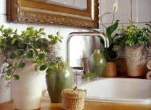 Вред водопроводной воды для растений