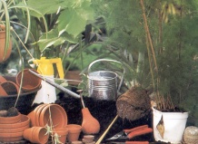 Зеленая аптека цветовода