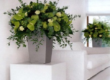 10 шагов к цветущей жизни