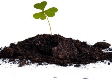 Почвы и субстраты