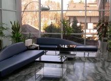 Комнатные растения, как элементы декора