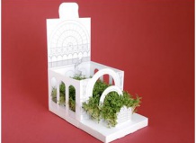 Целый сад в одной открытке!