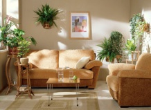 Подставки для растений