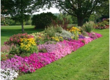 Наводим красоту в осеннем миксбордере