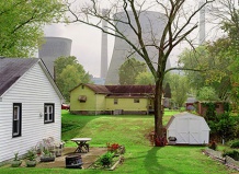 Растения - металлисты