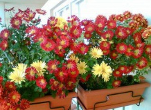 Осеннее украшение балкона