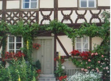 Щедрость виноградной лозы