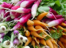 Витамины с подоконника