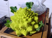 Самые необычные овощи и фрукты