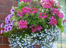 Создаем подвесные клумбы