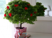 Дерево в подарок любимой