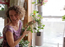 Вертикальный огород