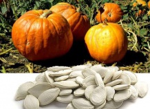 Подзимние посевы