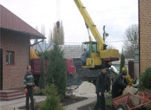 Зимняя пересадка крупномерных деревьев