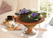 Декорирование с комнатными растениями