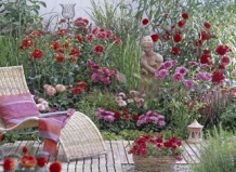 Георгины в дизайне сада