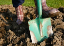 5 преимуществ осеннего садоводства