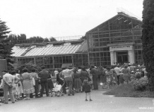 ПРОШЛОЕ И НАСТОЯЩЕЕ КАКТУСОВОДСТВА УКРАИНЫ. Часть I