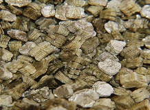 РЫХЛИТЕЛИ ГРУНТОВ ДЛЯ КАКТУСОВ. ВЕРМИКУЛИТ