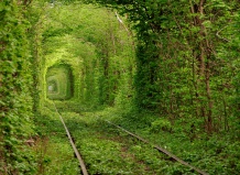 Волшебный тоннель любви в Клевани