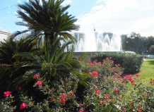 Сады и парки Испании: Барселона, городское озеленение