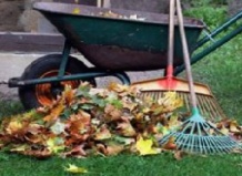 Что делать с осенней листвой