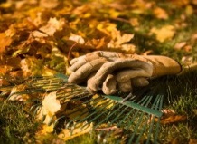 Зачем садить осенью?